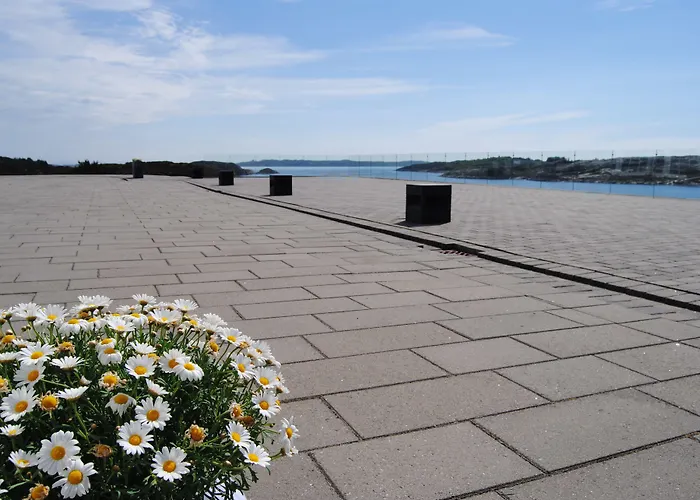 Panorama & Steinsland (Vestland)